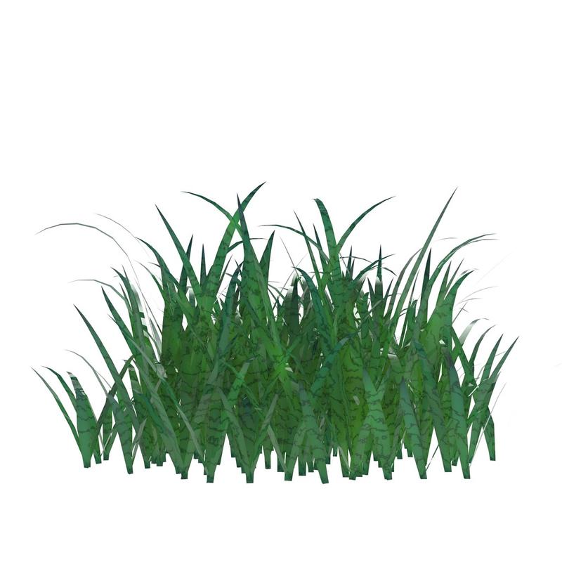 草,这是草 3d 图